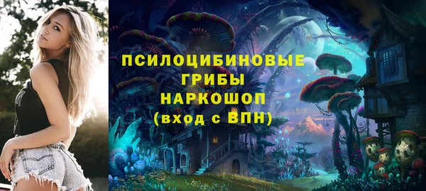 соль ск Михайловка