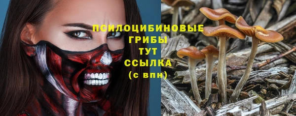 метадон Михайловск