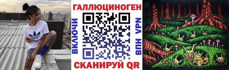 KRAKEN как зайти Заполярный Псилоцибиновые грибы GOLDEN TEACHER