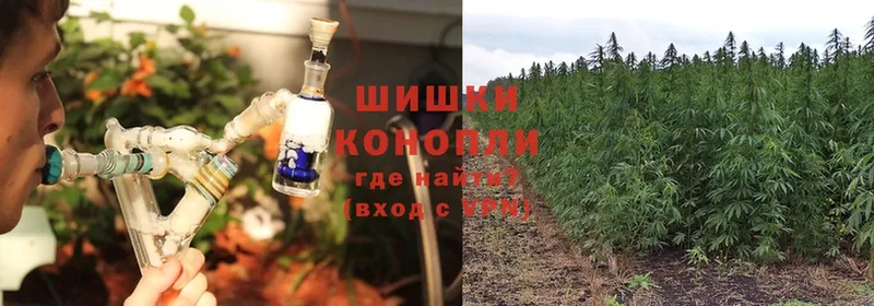 купить   ссылка на мегу tor  Канабис White Widow  Заполярный 